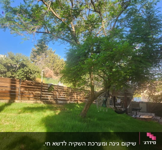 עץ גדול עם ערסל בגינה ירוקה